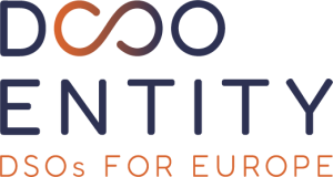 DSO ENTITY